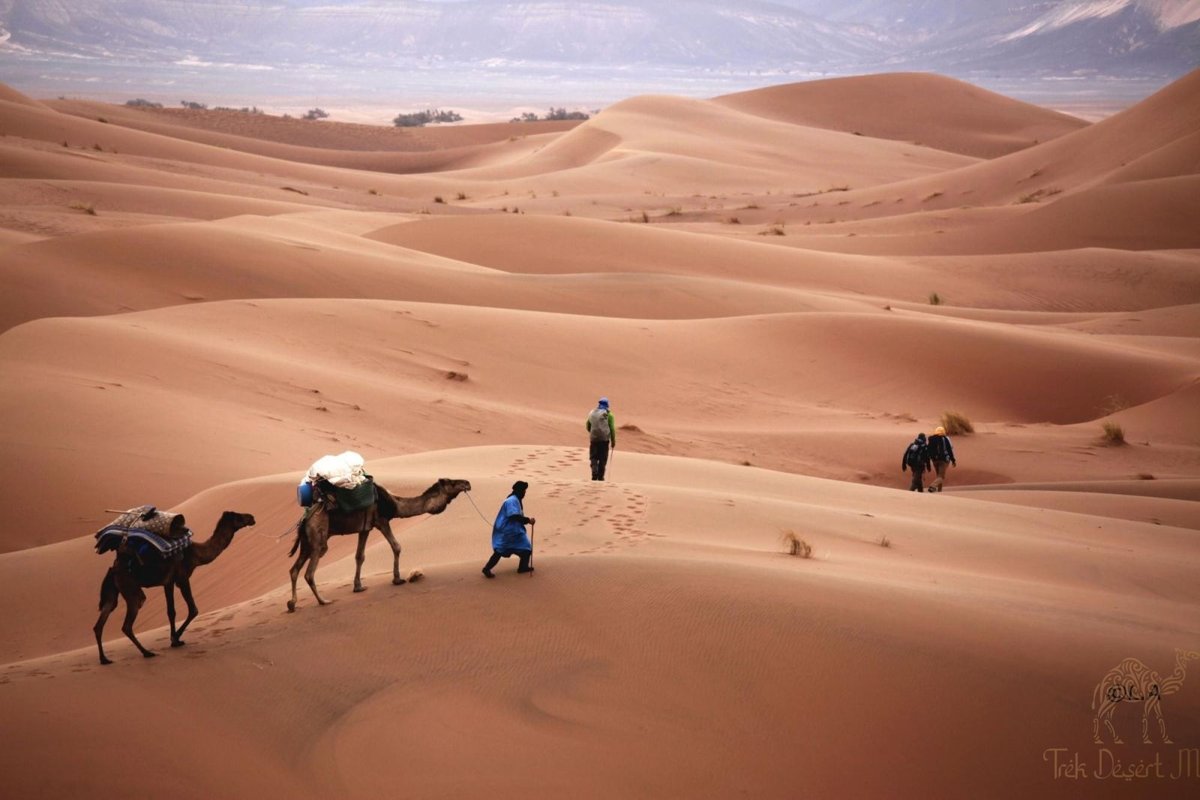 Imperial Cities & Desert Grand Tour - 10 Days