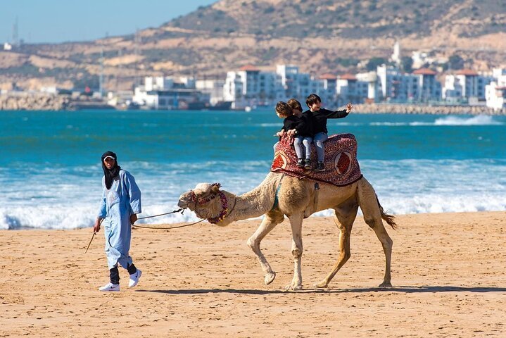Have an authentic Moroccan adventure on this camel riding tour! Escape the city noise of Agadir. atop a dromedary (Arabian camel), the traditional Berber method of travel. After pick-up from your lodge, you’ll be whisked off to the stables to meet your camel. Your guide will accompany you over the sand dunes to the 6.5-kilometre long perfect sandy beach at the bottom of the Atlantic Mountains.